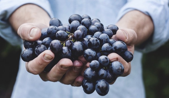 slow-food-une-tendance-qui-seduit-francais